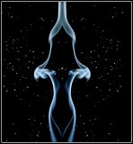 Stardust Lady